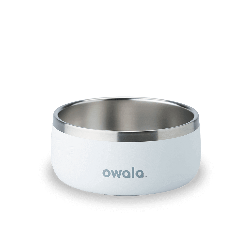 Pet Bowl T8